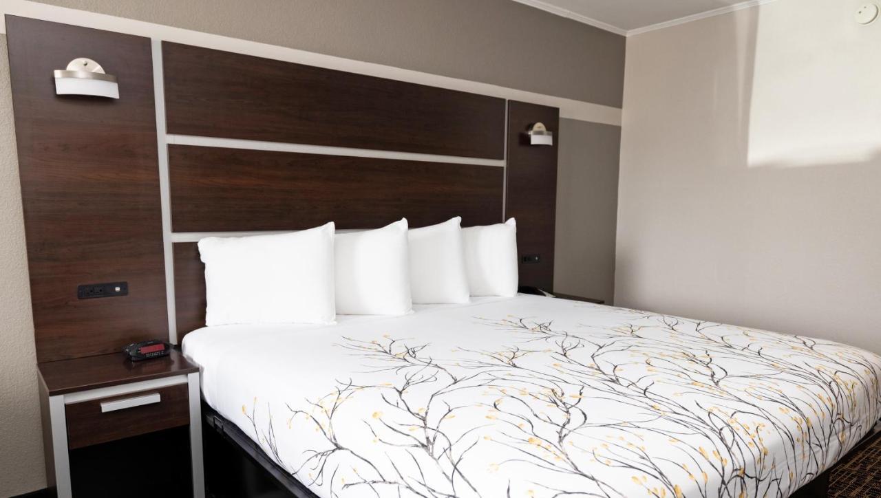 Magnuson Hotel Virginia Beach Dış mekan fotoğraf